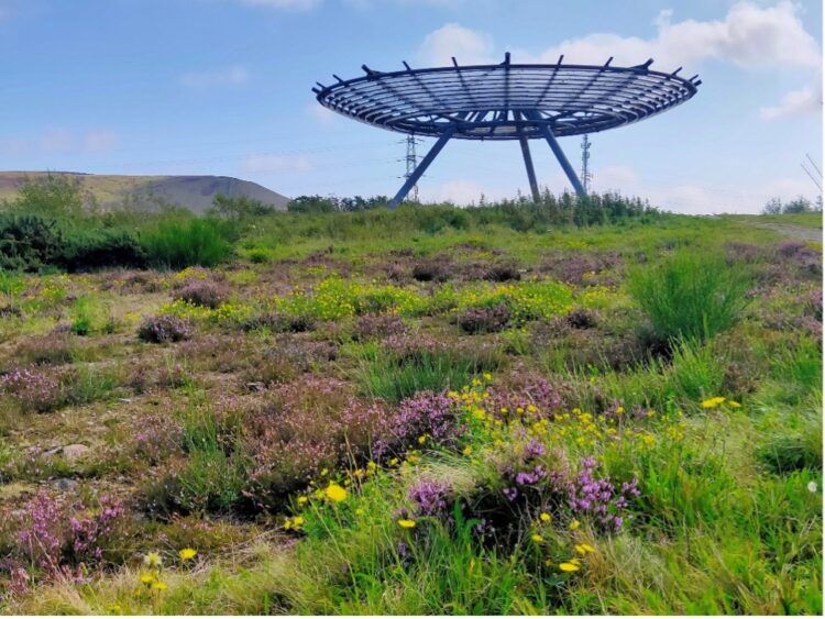 Halo at Haslingden
