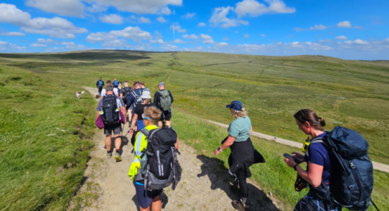 environvue team walkers walking across the hills